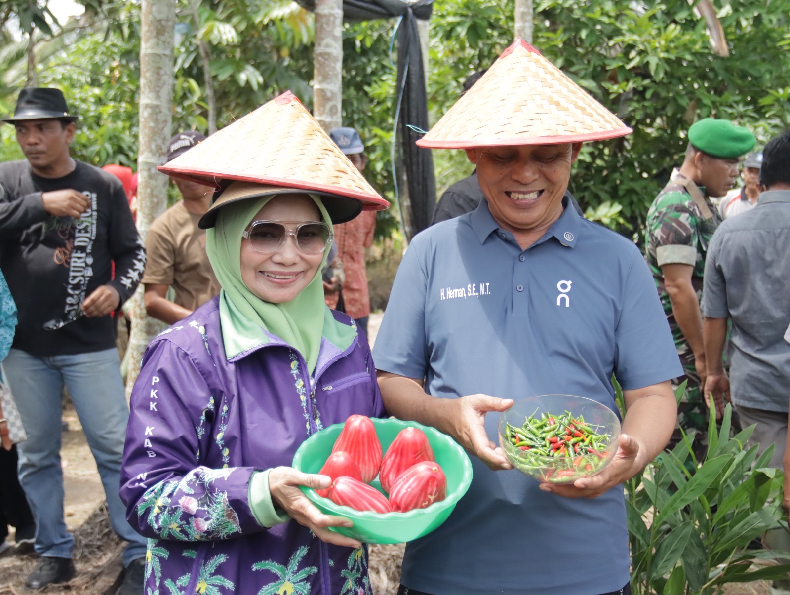 Tanam dan Panen Cabe di Kelurahan Pekan Arba, Bupati Inhil Harapkan Hasil Bumi Masyarakat di Manfaatkan Oleh Dapur SPPG