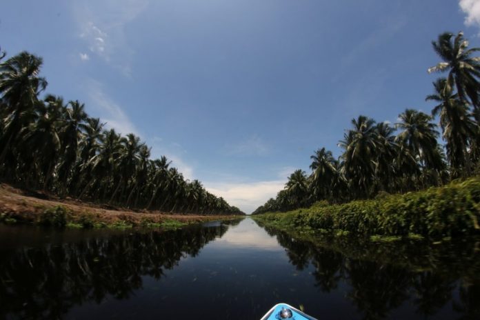 Ayo Kunjungi 10 Destinasi Wisata Terbaik di Indragiri Hilir