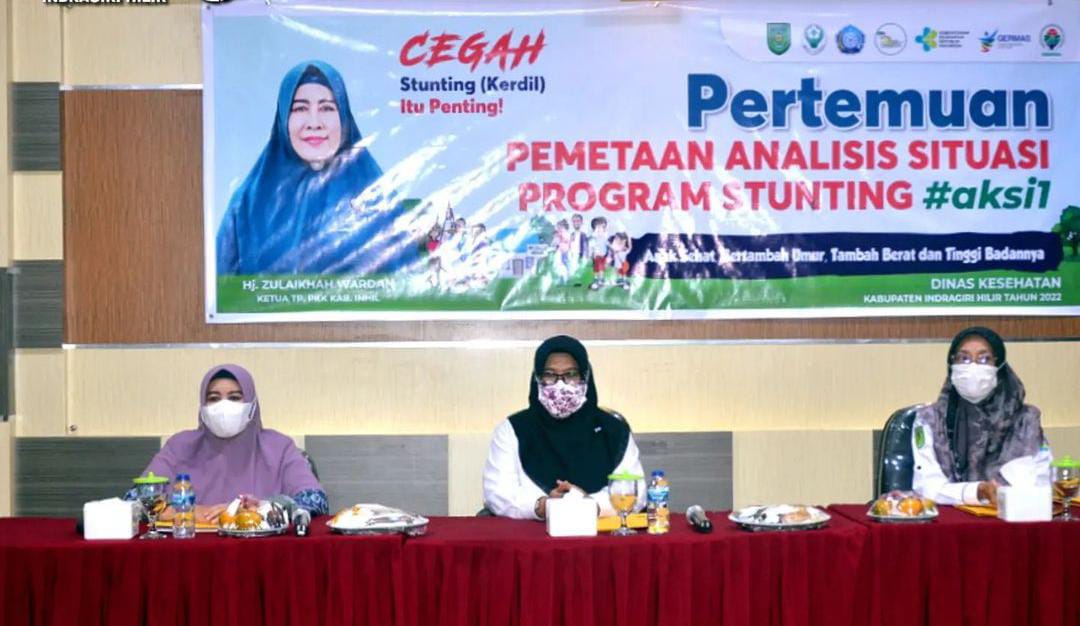 30 Tenaga Gizi Dinkes Inhil Ikuti Pertemuan Pemetaan Analisis Situasi Stunting